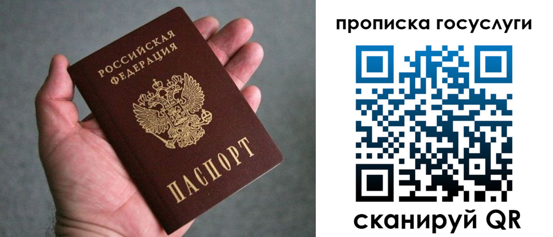 прописка 2025 в Пролетарске